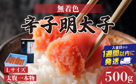 【Lサイズの太腹一本物】博多辛子明太子500g(無着色) | 短期配送 真子 魚卵 お中元 お歳暮 贈答用 家庭用