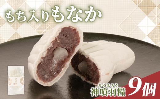 もち入りもなか あんこ 9個 和菓子 お菓子 菓子 おやつ おかし わがし 最中 モナカ 求肥 入り 餅入りもなか 求肥入りもなか 小豆 あずき 母の日 父の日 お中元 お取り寄せ 贈答 贈り物 お土産 土産 おみやげ ギフト プレゼント 神喰羽糧 石川県 羽咋 トキ 放鳥 の 地 とき 朱鷺 能登 災害 復興 支援 ふるさと納税 復興支援