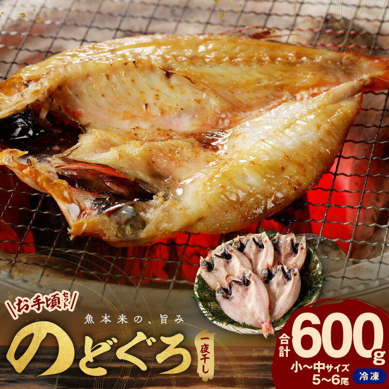 【ふるさと納税】【レビューCP対象】【父の日 お中元】 のどぐろ専門店シーライフ のどぐろ一夜干し5～6枚で計600g「お手ごろセット」 魚 干物 干もの 一夜干し セット 詰め合わせ 手頃 小分け 産地直送 のどぐろ 人気 贈り物 贈答 ギフト 【005_1569】