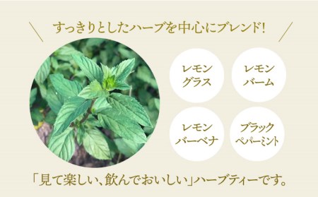 【全3回定期便】ハーブティー＜さわやかブレンド＞2袋【Goenヘルス＆ビューティー】[HBQ015]お茶 ペパーミント レモングラス