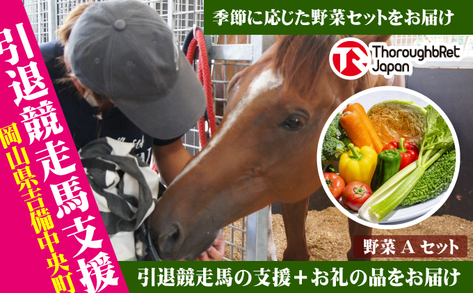 【引退競走馬支援!】吉備中央町産野菜セットA