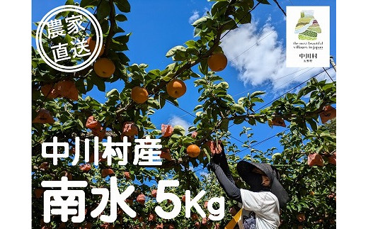 
農家直送】桃沢農園のなし（南水）約５Kg
