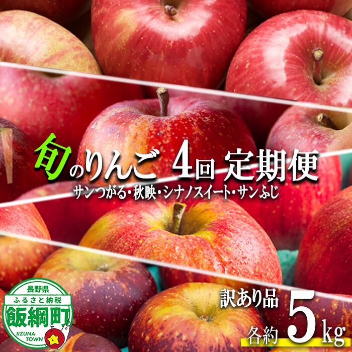 【ふるさと納税】 旬のりんご 【 定期便 】 訳あり 5kg × 4回 松橋りんご園 沖縄県への配送不可 令和8年度収穫分 長野県 飯綱町 【 信州 果物 フルーツ リンゴ 林檎 長野 】発送時期：2026年9月上旬〜2026年12月下旬