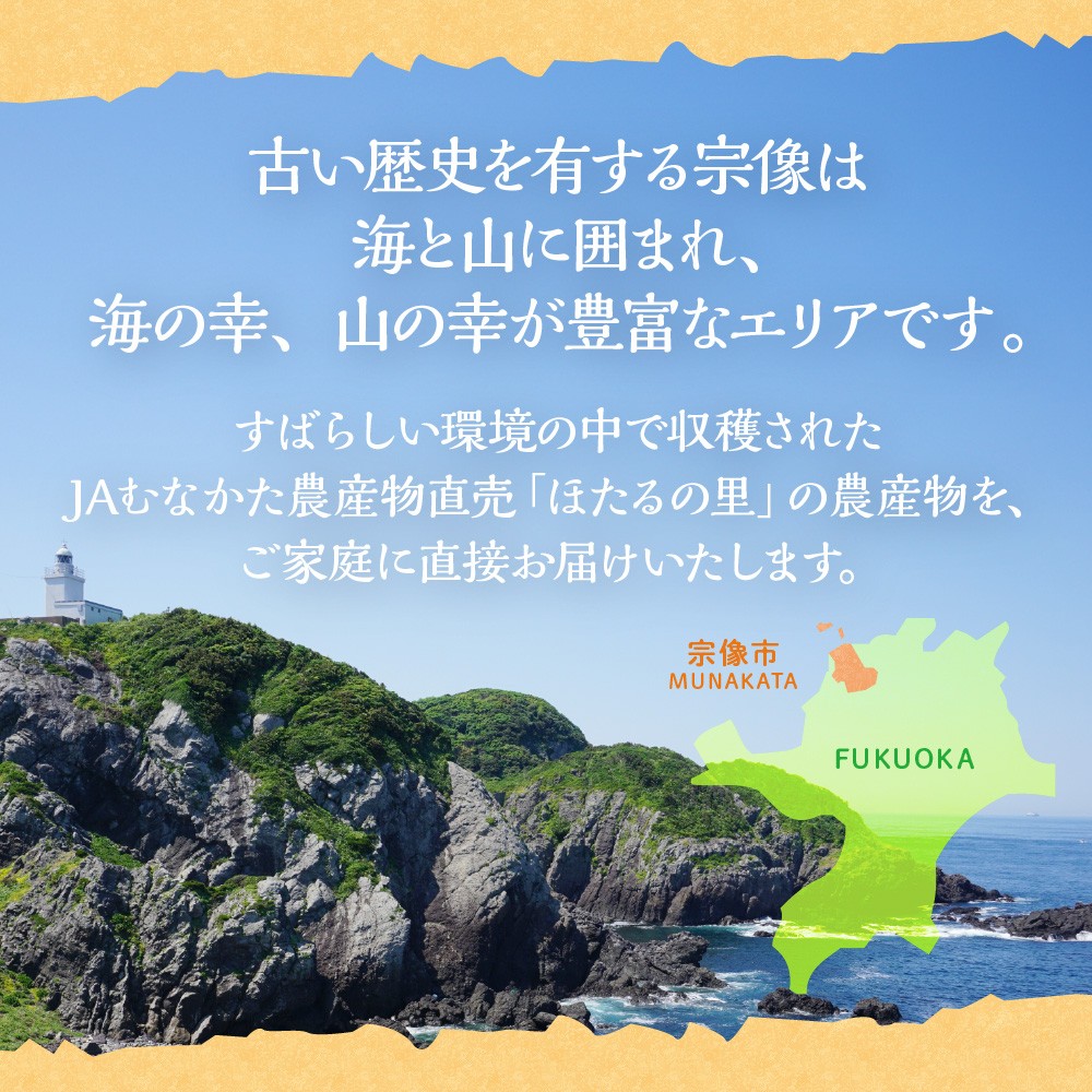 何が届くかお楽しみ！むなかた旬のフルーツ福袋定期便【年4回】