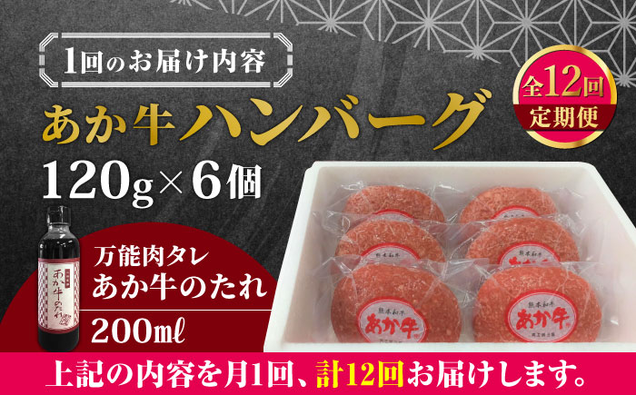 【全12回定期便】【日本ギフト大賞 受賞】熊本県産 あか牛ハンバーグ セット 計720g 冷凍 専用タレ付き あか牛のたれ付き 個包装 熊本和牛【有限会社 三協畜産】[YCG083]