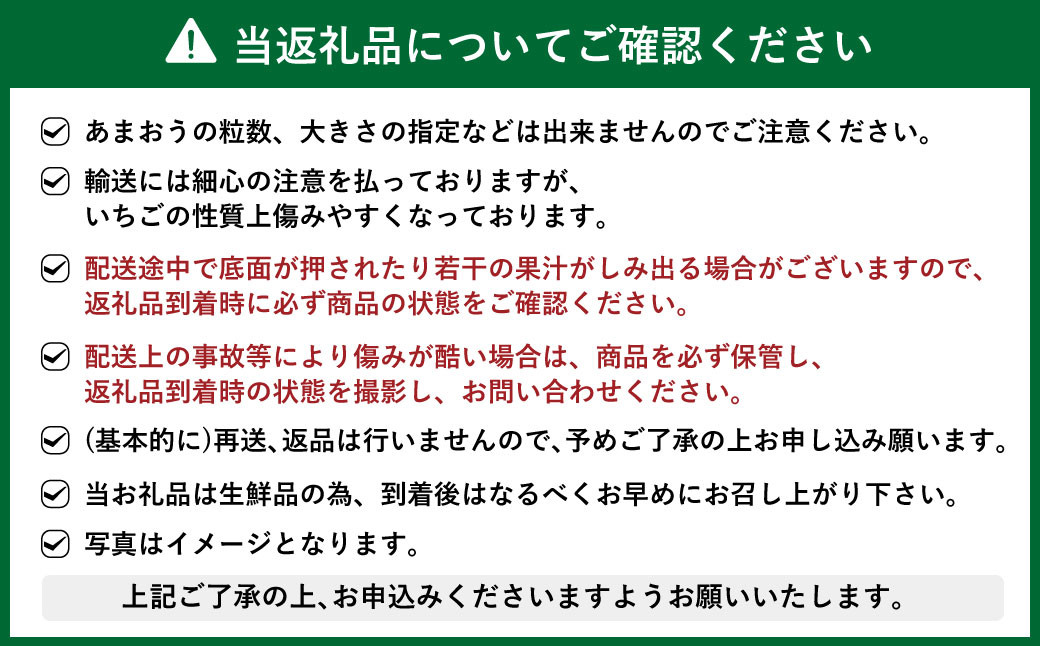 【予約受付・3回定期便】 あまおう 贅沢セット No2