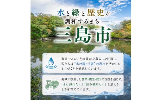 【予約受付中2027年12月上旬～順次発送】 三島甘藷 約 5kg 紅はるか 山北印 さつまいも さつま芋 産地直送 野菜 冬野菜 焼き芋 芋 やきいも ヤキイモ 人気 おやつ 上品な甘み 香り デザ