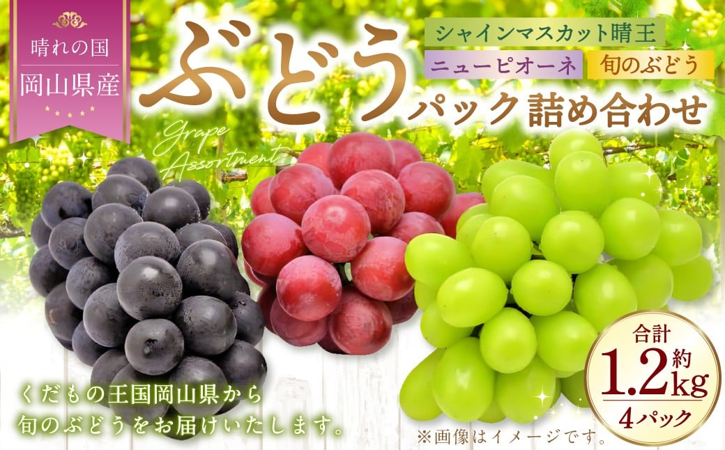 
            岡山県産 ぶどうパック詰合せ ※3種4パックセット （ ニューピオーネ ・ シャインマスカット ・ 旬のぶどう ） 【2026年9月上旬～10月下旬発送予定】 ／ ぶどう ブドウ 葡萄 種なし 種無し ピオーネ マスカット 晴王 はるお 旬の葡萄 フルーツ 果物 くだもの 果実
          