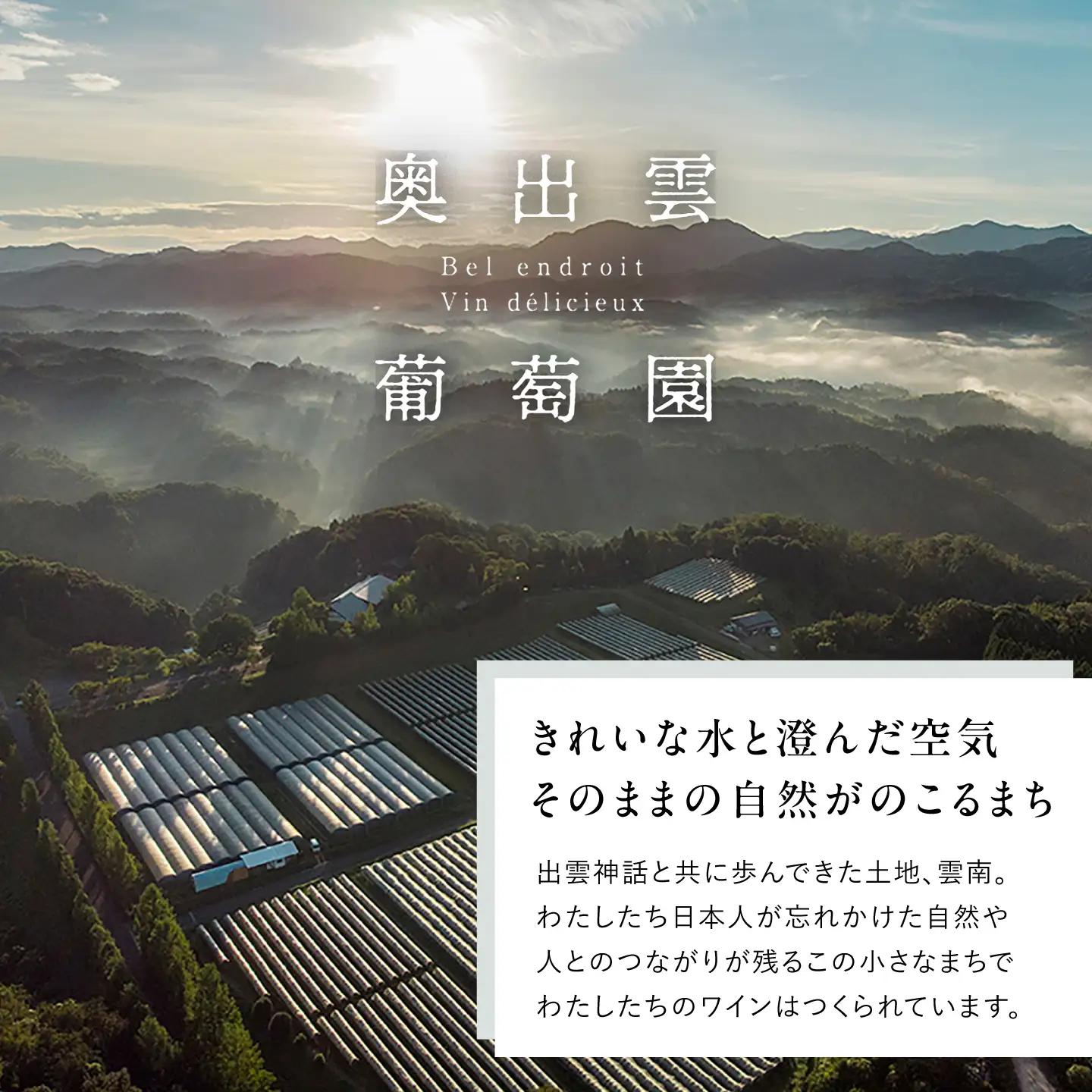奥出雲ワイン メルロ 2本 750ml×2 赤ワイン 国産 島根県雲南市/有限会社奥出雲葡萄園[AICS096]
