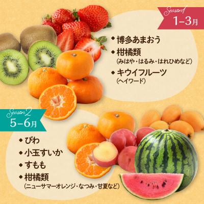 ふるさと納税 宗像市 何が届くかお楽しみ!むなかた旬のフルーツ福袋セット【JAほたるの里】_HA1541 |  | 02