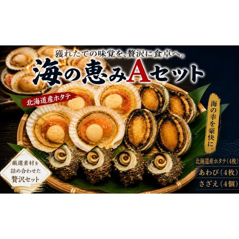 海の恵みAセット （ さざえ ・ あわび ・ 殻付きホタテ ） 冷凍 下関 山口 《さわ水産：SW》