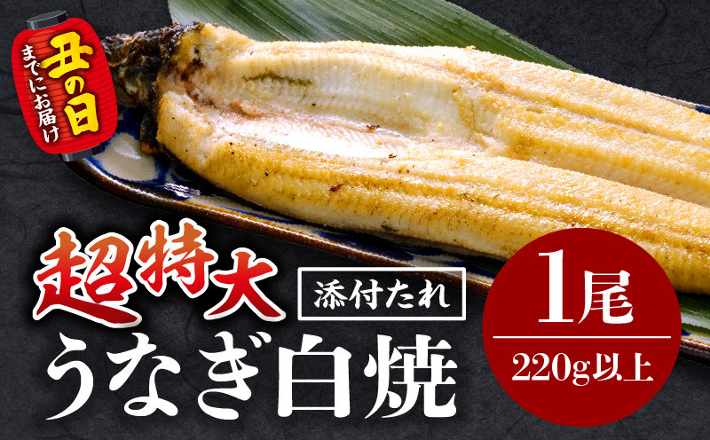 
            【選べる発送月】うなぎ白焼(超特大サイズ) 1尾_M069-025-SKU
          
