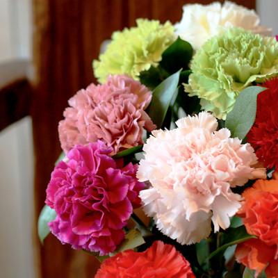 ふるさと納税 酒田市 「スイート10カーネーションアレンジ 」10本に込めた特別なありがとうを贈る母の日ギフト |  | 02