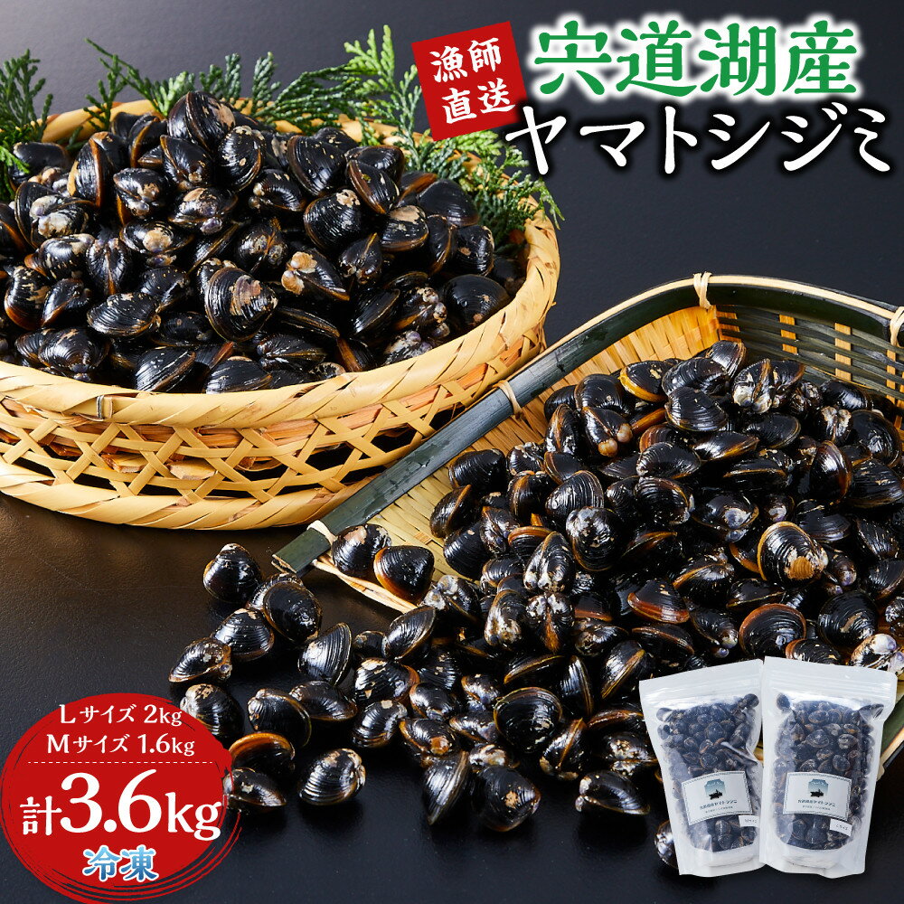 【ふるさと納税】漁師直送！宍道湖産ヤマトシジミ・食べ比べ3.6kg（Lサイズ2kg＋Mサイズ1.6kg）