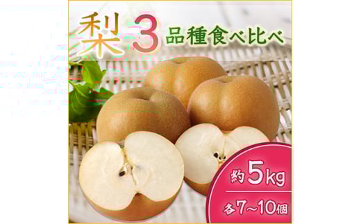 ＜2025年9月より順次発送予定＞梨3品種食べ比べ　各7～10個約5kg(県内共通返礼品:石岡市産) (BR049)
