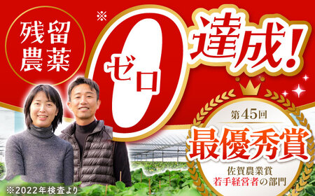 【全3回定期便】いちご食べ尽くしさがほのかいちごさん冷凍いちご HAF027 いちごいちごいちごいちごいちごいちご