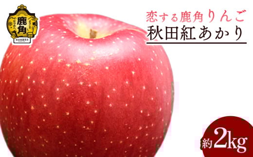 令和7年産 秋田県鹿角産りんご「秋田紅あかり」 約 2kg【恋する鹿角カンパニー】●2025年11月中旬発送開始 かづのりんご 食感 果汁 さっぱり リンゴ 完熟 旬 りんご 林檎 お中元 お歳暮 贈り物 お見舞い グルメ ギフト 故郷 秋田 あきた 鹿角市 鹿角 紅あかり 送料無料