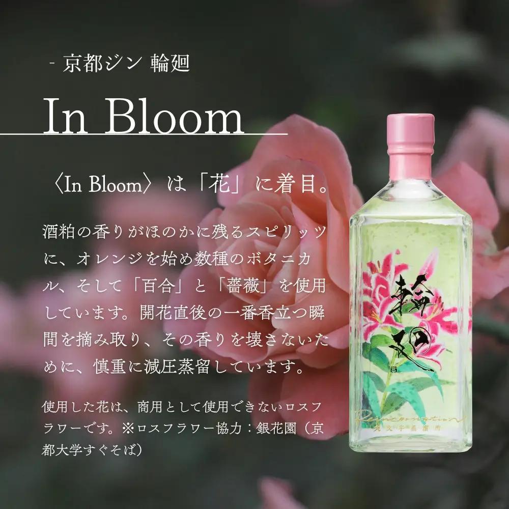 【松井酒造】京都ジン 輪廻 飲み比べセット 300ml×3本｜クラフトジン 人気シリーズ 大文字蒸溜所