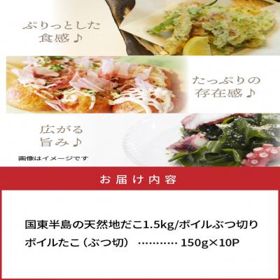 ふるさと納税 国東市 国東半島の天然地だこ 1.5kg_0013N-2 |  | 03
