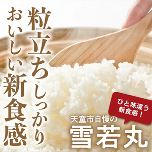 【2026年1月上旬発送】令和7年産 雪若丸 無洗米 10kg 米 精米 山形 07-01-182-01A