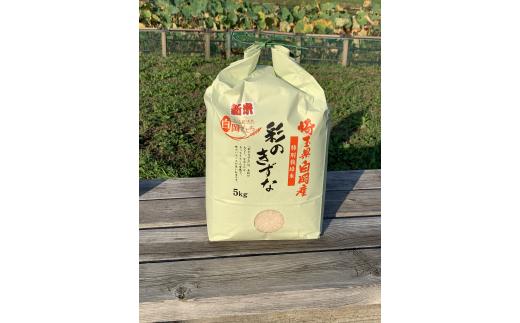 ＜令和7年産＞特別栽培米　彩のきずな　5kg　【11246-0107】