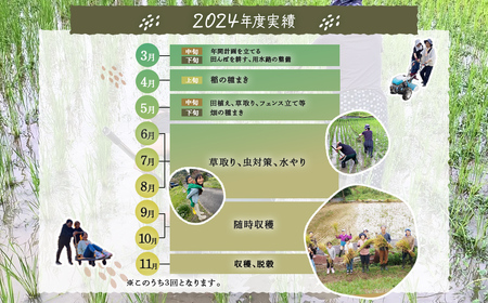 W03508 季節をぐるり　里山の無農薬•無肥料栽培田畑の農作業体験　里山の季節の軽食つき ふるさと納税 農作業 農作物 体験 田んぼ 自然 自然体験 年3回 千葉県 大多喜町