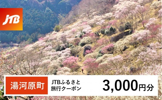 【湯河原町】JTBふるさと旅行クーポン（3,000円分）有効期間3年（Eメール発行）｜旅行 トラベル 予約 国内旅行 JTB 宿泊 観光 体験 旅行券 宿泊券 旅行予約 温泉 ホテル 旅館 チケット 子供 子連れ カップル 家族 人気 おすすめ 旅行クーポン 店頭 オンライン ネット予約 電話 有効期間3年
