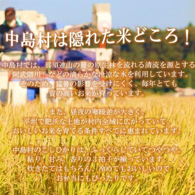 ふるさと納税 中島村 令和8年産 中島村産 コシヒカリ・天のつぶ 精米(各5kg) |  | 01