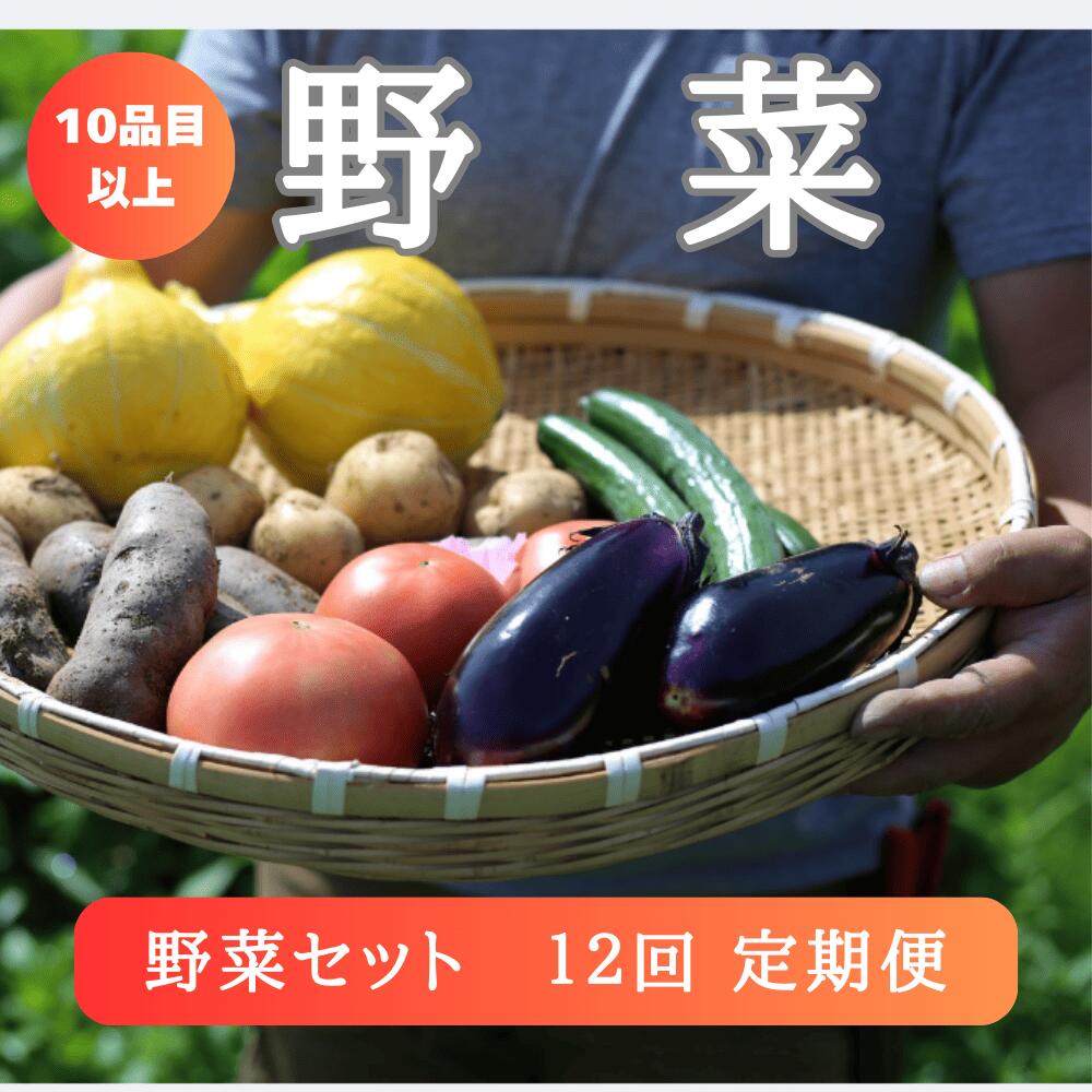 【ふるさと納税】野菜 定期便 12回 野菜セット 旬 新鮮 詰め合わせ セット ギフト 直送 農家 夏野菜 おまかせ お取り寄せ 産直直送 産直 秋 冬 サラダ 詰合せ 12times