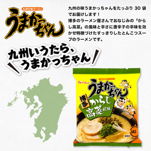 うまかっちゃん からし高菜風味　合計30袋（5袋×6P）ラーメン とんこつ 袋ラーメン  BA011
