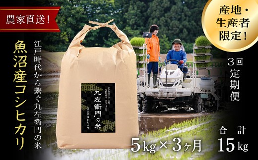 【令和8年産 新米 先行予約】【3ヶ月定期便】 魚沼産コシヒカリ 5kg(5kg×1袋) 九左衛門の米 農家直送 | 白米 精米 ブランド米 こしひかり お米 おこめ こめ コメ おすすめ 人気 ギフト プレゼント 新潟県 津南町