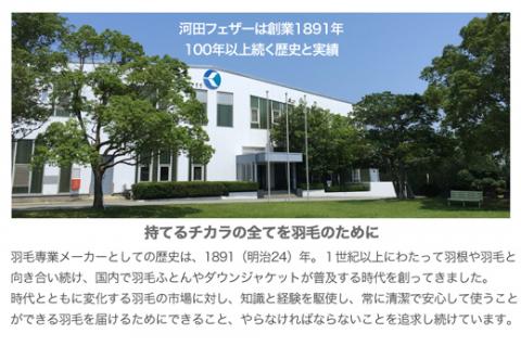 【河田フェザー使用】AD1　ちょっと大きめラグジュアリー羽根まくら（GP-1）
