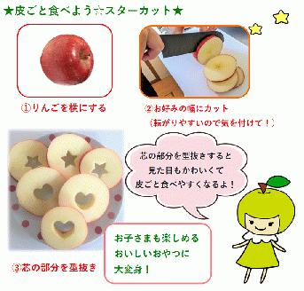 【2026年5月中旬発送】≪特選≫ りんご 5kg 有袋ふじ (スマートフレッシュ™貯蔵またはCA貯蔵・クール便)