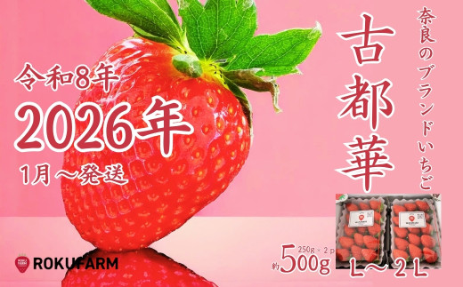 
            ★★2026年予約販売開始★★【2026年（令和8年）1月～発送】 
「6FARMの 古都華いちご」 限定出荷 〈6FARM〉 いちご 苺 奈良ブランド苺 イチゴ ブランド 古都華 大粒 奈良県 奈良市 なら 10-205
          