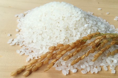 米 令和8年 つぶら野米 コシヒカリ 白米 3kg×2袋 計6kg
