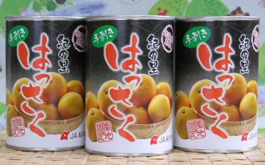 和歌山産手剥き八朔缶詰450g×8缶入り ※2024年5月以降に順次発送予定 【tec912B】