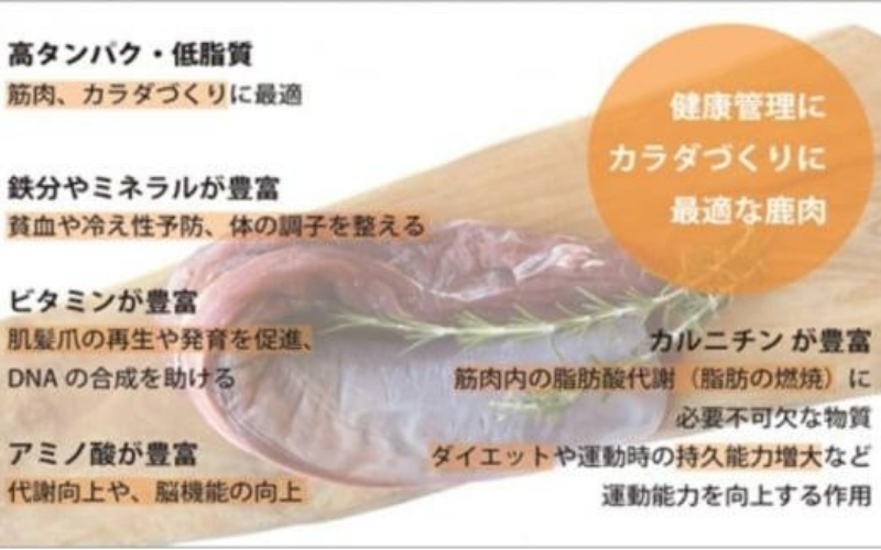 【予約受付】天然芭蕉鹿 特上赤身ロース肉300g【sris0002】