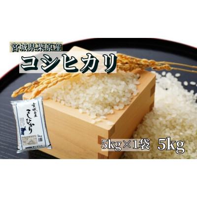 ふるさと納税 栗原市 【令和7年産】宮城栗原産 コシヒカリ 白米5kg (5kg×1袋)