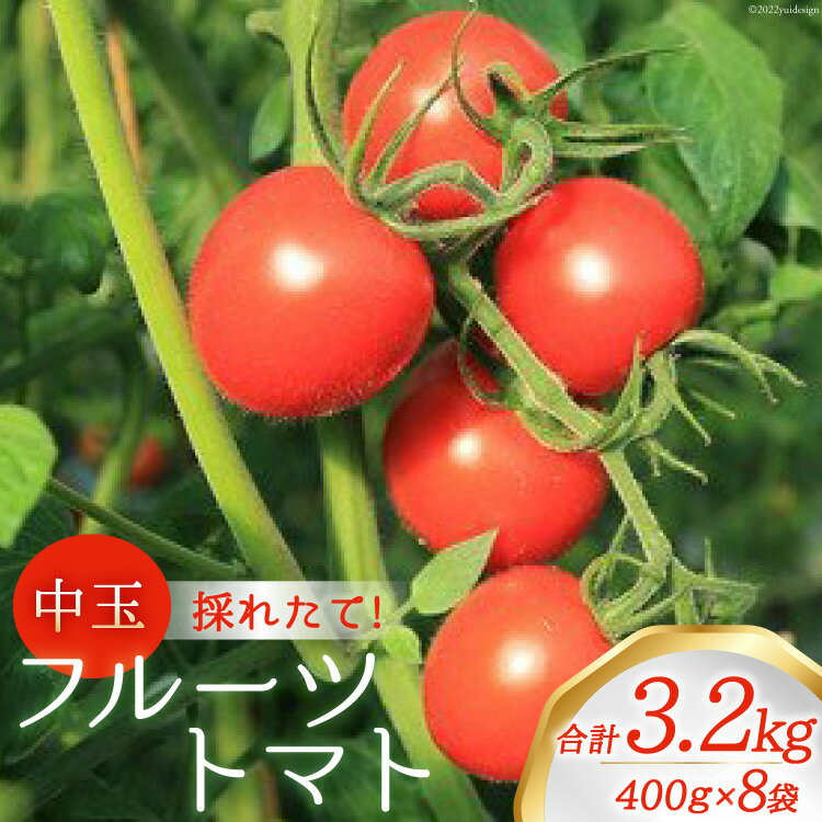 【ふるさと納税】【期間限定発送】新鮮！中玉フルーツトマト400g×8袋 山梨県中央市より、採れたてを発送 [農事組合法人 た・から 山梨県 中央市 21471022] とまと トマト フルーツトマト 中玉トマト 野菜 やさい フレッシュ 新鮮 採れたて 産地直送 数量限定 期間限定