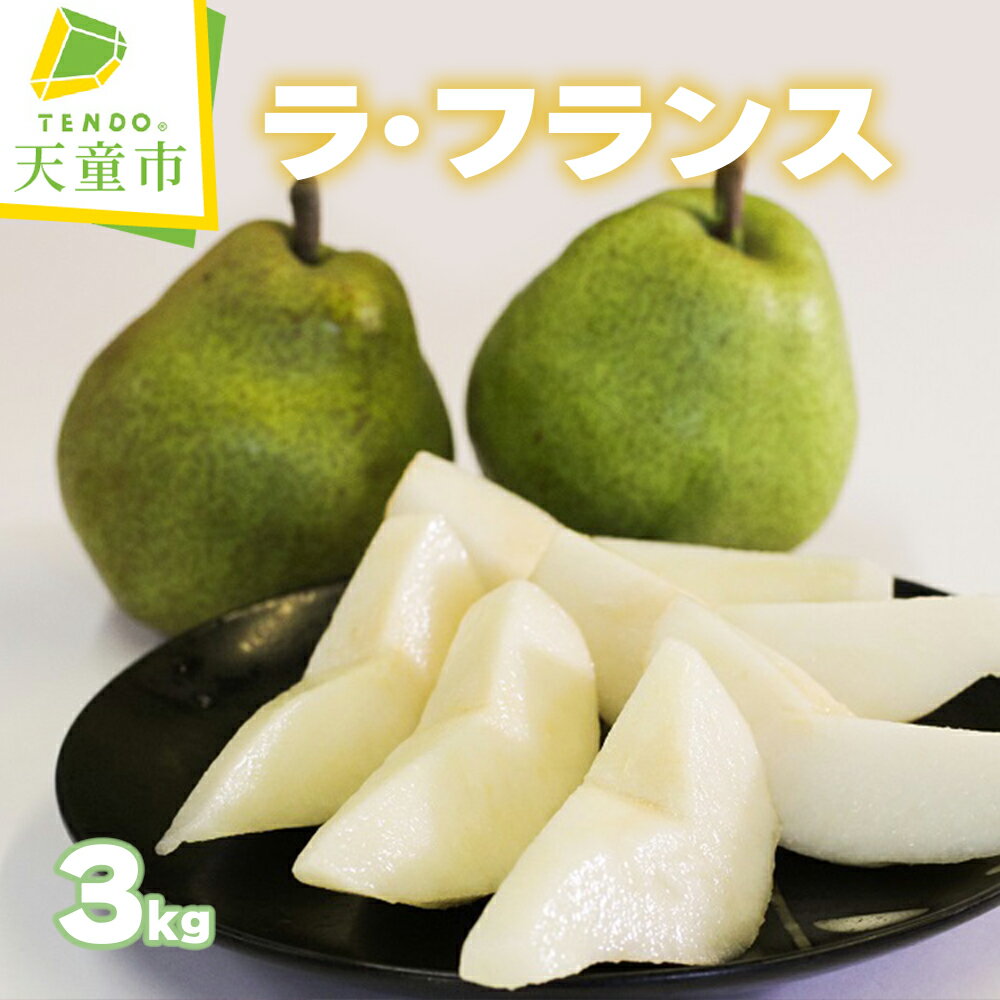 【ふるさと納税】 ラ・フランス 3kg 秀 (8～10玉) ラフランス 洋梨 西洋梨 果物 フルーツ のし 贈答 ギフト プレゼント おすそ分け お取り寄せ 旬 秋 冬 期間限定 産地直送 送料無料 先行予約 【 山形県 天童市 】