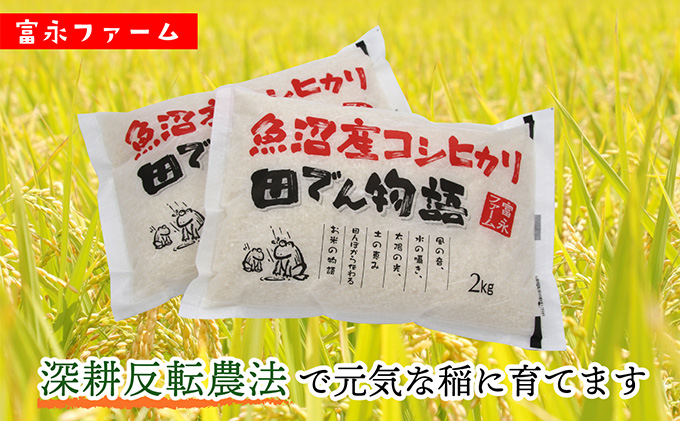 令和7年産 富永ファーム「田でん物語」魚沼産コシヒカリ(精米)4kg(2kg×2) お米 白米 ご飯 ブランド米 銘柄米 精米したて 新潟県産 直送 主食 炭水化物