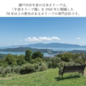 ドレッシング 200ml 3種 赤屋根の オリーブオイル  ドレッシング