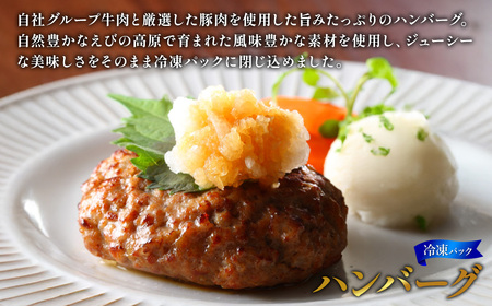 ハンバーグ セット 冷凍(130g × 10パック 計 1,300g)ギフト レンジ 湯煎 温めるだけ 簡単調理 小分け 個包装 総菜 簡単 おかず レトルト 人気 お取り寄せ 九州 宮崎県 えびの市