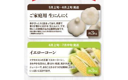 「香川県オリジナル品種さぬきのめざめ」と旬の野菜 定期便P