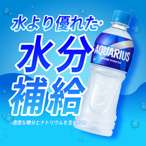 【2ヶ月定期便】アクエリアス500mlPET×48本｜コカ・コーラ 飲料 ドリンク 飲み物 スポーツドリンク スポドリ 北海道 札幌市