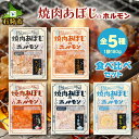 【ふるさと納税】焼肉 ホルモン セット焼肉あぼじのホルモン 5種食べ比べセット（スパイス・コク味噌・ピリ辛・うま塩・瀬戸内塩レモン(各180g×1)）石狩市 いしかり 北海道 生ホルモン 味付き 味付け 焼き肉 焼肉 塩レモン レモン風味 さっぱり 辛口 味噌