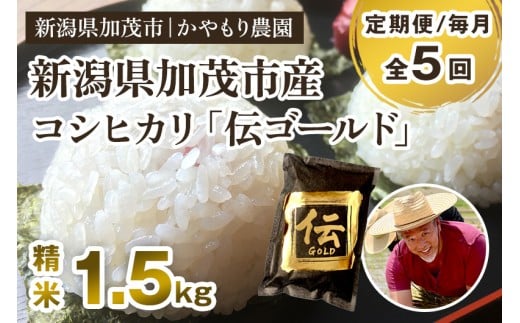 【令和7年産新米】【定期便5回毎月お届け】新潟産コシヒカリ「伝ゴールド」白米真空パック 精米1.5kg  《9月下旬から順次出荷》 南麻布の高級料亭で提供される極上米 かやもり農園