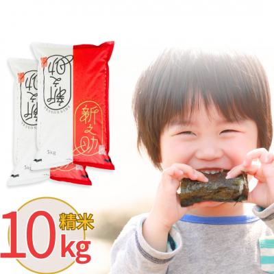 ふるさと納税 三条市 新潟県産 新之助 10kg しんのすけ 令和7年産 [株式会社白熊]【018S042】