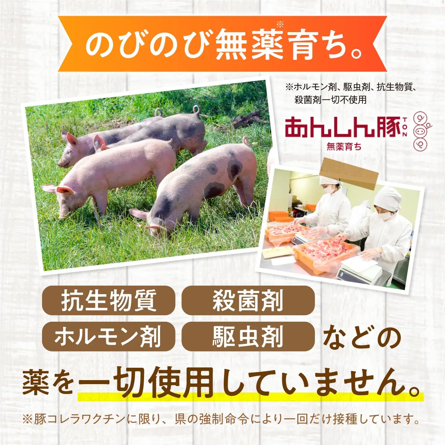 豚肉バラエティセット 3種 計940g《バラ凍結》藤井ファーム[AWAF108]豚肉セット