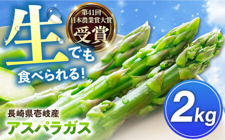 【先行予約】壱岐産　アスパラガス 2kg（L～2Lサイズ）　【2025年3月以降順次発送】《壱岐市》【壱岐市農業協同組合】[JBO148]